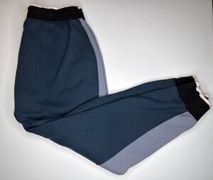 Nike Pants Womens Large Blue Sportswear Fleece Joggers Colorblock Aj7401-454